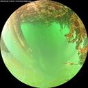 ./images/calvert/underwater/20260628/underwater20260628_113501M.jpg