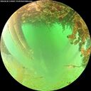 ./images/calvert/underwater/20260628/underwater20260628_114002M.jpg