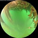 ./images/calvert/underwater/20260628/underwater20260628_114501M.jpg