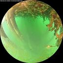 ./images/calvert/underwater/20260628/underwater20260628_120001M.jpg