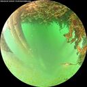 ./images/calvert/underwater/20260628/underwater20260628_120502M.jpg