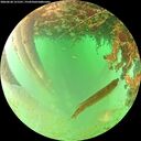./images/calvert/underwater/20260628/underwater20260628_121501M.jpg
