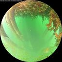 ./images/calvert/underwater/20260628/underwater20260628_122002M.jpg