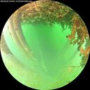 ./images/calvert/underwater/20260628/underwater20260628_123501M.jpg