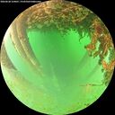 ./images/calvert/underwater/20260628/underwater20260628_124001M.jpg