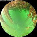 ./images/calvert/underwater/20260628/underwater20260628_124501M.jpg