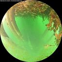 ./images/calvert/underwater/20260628/underwater20260628_125001M.jpg