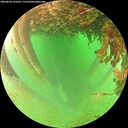 ./images/calvert/underwater/20260628/underwater20260628_125501M.jpg