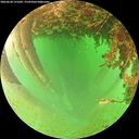 ./images/calvert/underwater/20260628/underwater20260628_131001M.jpg