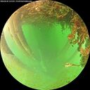 ./images/calvert/underwater/20260628/underwater20260628_131501M.jpg