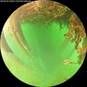 ./images/calvert/underwater/20260628/underwater20260628_132002M.jpg