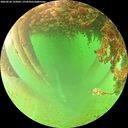 ./images/calvert/underwater/20260628/underwater20260628_133002M.jpg
