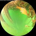 ./images/calvert/underwater/20260628/underwater20260628_134001M.jpg