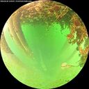 ./images/calvert/underwater/20260628/underwater20260628_134501M.jpg