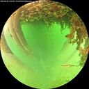 ./images/calvert/underwater/20260628/underwater20260628_135501M.jpg