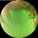 ./images/calvert/underwater/20260628/underwater20260628_140002M.jpg