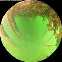 ./images/calvert/underwater/20260628/underwater20260628_141001M.jpg