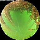 ./images/calvert/underwater/20260628/underwater20260628_141501M.jpg