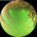 ./images/calvert/underwater/20260628/underwater20260628_142001M.jpg