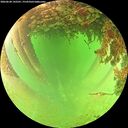 ./images/calvert/underwater/20260628/underwater20260628_142501M.jpg