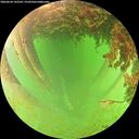 ./images/calvert/underwater/20260628/underwater20260628_143501M.jpg