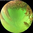 ./images/calvert/underwater/20260628/underwater20260628_144001M.jpg
