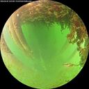 ./images/calvert/underwater/20260628/underwater20260628_145501M.jpg