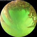 ./images/calvert/underwater/20260628/underwater20260628_150501M.jpg