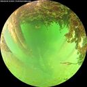 ./images/calvert/underwater/20260628/underwater20260628_151001M.jpg