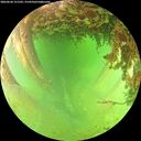 ./images/calvert/underwater/20260628/underwater20260628_151501M.jpg