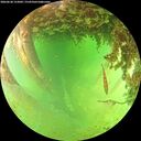 ./images/calvert/underwater/20260628/underwater20260628_152002M.jpg