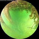 ./images/calvert/underwater/20260628/underwater20260628_152501M.jpg