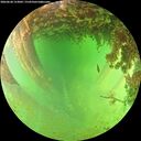 ./images/calvert/underwater/20260628/underwater20260628_153002M.jpg