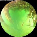 ./images/calvert/underwater/20260628/underwater20260628_153501M.jpg