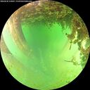 ./images/calvert/underwater/20260628/underwater20260628_154001M.jpg