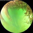 ./images/calvert/underwater/20260628/underwater20260628_154501M.jpg