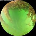 ./images/calvert/underwater/20260628/underwater20260628_155001M.jpg
