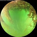 ./images/calvert/underwater/20260628/underwater20260628_155501M.jpg