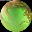 ./images/calvert/underwater/20260628/underwater20260628_160002M.jpg