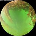 ./images/calvert/underwater/20260628/underwater20260628_160501M.jpg