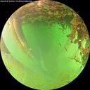 ./images/calvert/underwater/20260628/underwater20260628_161001M.jpg