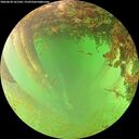 ./images/calvert/underwater/20260628/underwater20260628_161502M.jpg