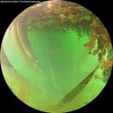 ./images/calvert/underwater/20260628/underwater20260628_162001M.jpg