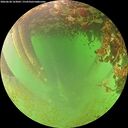 ./images/calvert/underwater/20260628/underwater20260628_163002M.jpg