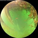 ./images/calvert/underwater/20260628/underwater20260628_163501M.jpg