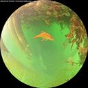 ./images/calvert/underwater/20260628/underwater20260628_165501M.jpg