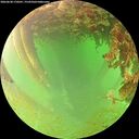 ./images/calvert/underwater/20260628/underwater20260628_170501M.jpg
