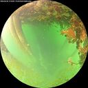 ./images/calvert/underwater/20260628/underwater20260628_171001M.jpg