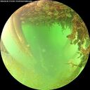./images/calvert/underwater/20260628/underwater20260628_171501M.jpg