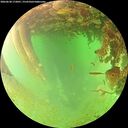 ./images/calvert/underwater/20260628/underwater20260628_172001M.jpg